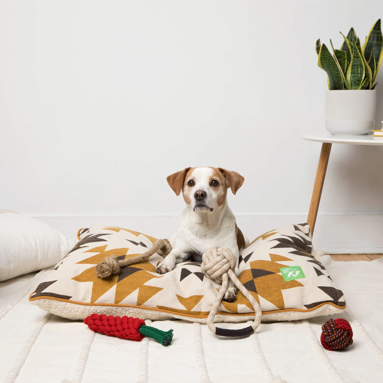 Only Natural Pet Eco-Friendly Regenerated Cotton Ball & Rope Dog Toy 4 Only Natural Pet Eco-Friendly Regenerated Cotton Ball & Rope Dog Toy - Image 4