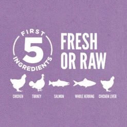 Orijen Whole Prey Chicken, Turkey, Salmon & Herring Kitten Food -Cat And Dog Pet Supply Store OrijenKittenFresh