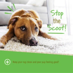 Pet Naturals Scoot Bars Anal Gland Support For Dogs 9 Pet Naturals Scoot Bars Anal Gland Support For Dogs -Cat And Dog Pet Supply Store PetNaturalsofVermontScootBars30PackDogChewsInfographic3