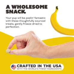 Primal Pet Foods Freeze-Dried Dog Treats -Cat And Dog Pet Supply Store PrimalPetFoodsFreeze DriedDogTreatsPeelin FantasticNewLifestyle