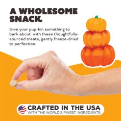 Primal Pet Foods Freeze-Dried Dog Treats -Cat And Dog Pet Supply Store PrimalPetFoodsFreeze DriedDogTreatsPumpkinformyPumpkinNewLifestyle