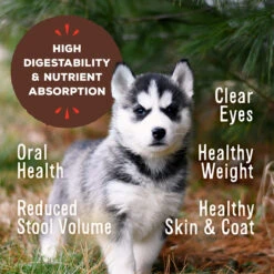 Primal Pet Foods Pronto Freeze-Dried Raw Puppy Food 21 Primal Pet Foods Pronto Freeze-Dried Raw Puppy Food -Cat And Dog Pet Supply Store PrimalPetFoodsProntoFreezeDriedRawPuppyFoodRTB3