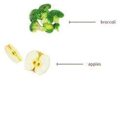 Sojos Complete Grain-Free Dog Food Mix -Cat And Dog Pet Supply Store SojosCompleteGrainFreeDogFoodMixTurkeyInfographic