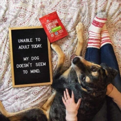 Stella & Chewy's Carnivore Crunch Training Treats -Cat And Dog Pet Supply Store Stella Chewy sCarnivoreCrunchTrainingTreatsDuckLifestyleImage 1