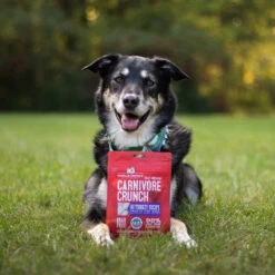 Stella & Chewy's Carnivore Crunch Training Treats -Cat And Dog Pet Supply Store Stella Chewy sCarnivoreCrunchTrainingTreatsTurkeyLifestyleImage 1