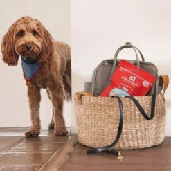 Stella & Chewy's Freeze-Dried Raw Single Ingredient Treats -Cat And Dog Pet Supply Store Stella Chewy sFreeze DriedRawSingleIngredientTreatsLambLiverLifestyleImage