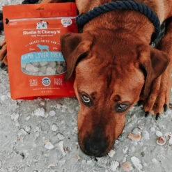Stella & Chewy's Freeze-Dried Raw Single Ingredient Treats -Cat And Dog Pet Supply Store Stella Chewy sFreeze DriedRawSingleIngredientTreatsLambLiverLifestyleImage2