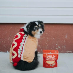Stella & Chewy's Wild Weenies Raw Freeze-Dried Dog Treats 30 Stella & Chewy's Wild Weenies Raw Freeze-Dried Dog Treats -Cat And Dog Pet Supply Store Stella Chewy sWildWeeniesRawFreeze DriedDogTreatsChickenRecipeLifestyleImage b038eba9 252c 42c2 b8c4 d3b444f56465