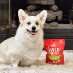 Stella & Chewy's Wild Weenies Raw Freeze-Dried Dog Treats 35 Stella & Chewy's Wild Weenies Raw Freeze-Dried Dog Treats -Cat And Dog Pet Supply Store Stella Chewy sWildWeeniesRawFreeze DriedDogTreatsDuckRecipeLifestyleImage2 df7a4ffd bce4 4849 9de5 faa46093e560