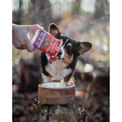 Stella & Chewy's Stew Wet Food For Dogs Case Of 12 -Cat And Dog Pet Supply Store Stellas Stew turkey