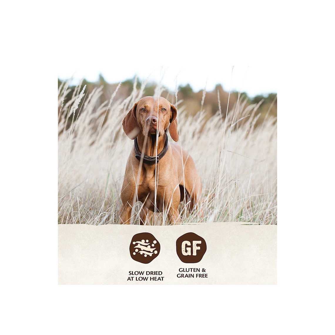 Wellness Core Grain Free Air-Dried Dog Food 4 Wellness Core Grain Free Air-Dried Dog Food - Image 4