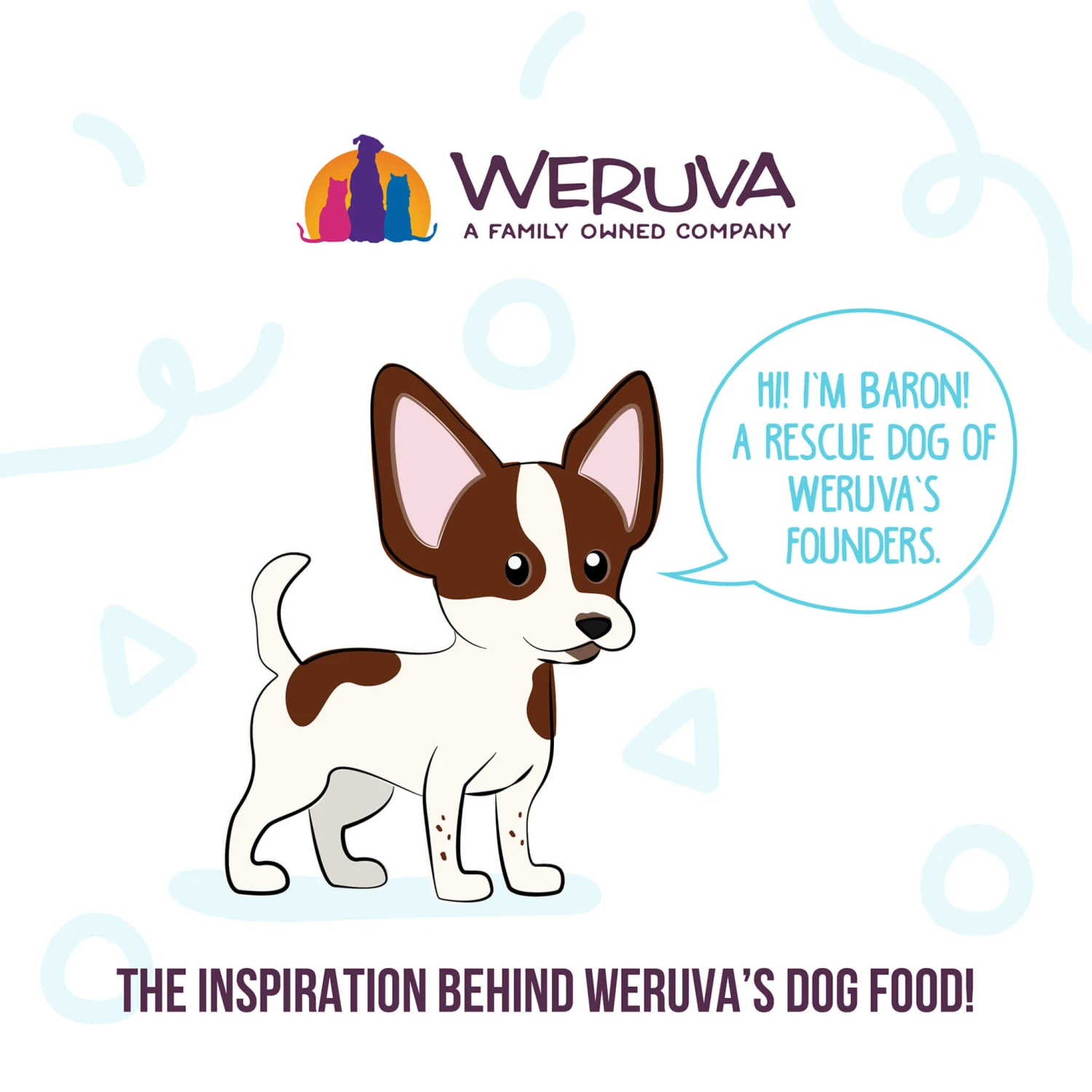 Weruva Meals 'n More Skin & Coat Wet Dog Food 20 Weruva Meals 'n More Skin & Coat Wet Dog Food - Image 20