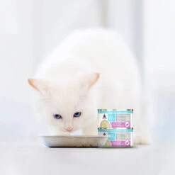 Weruva Wx Low Phosphorus Cat Food 27 Weruva Wx Low Phosphorus Cat Food -Cat And Dog Pet Supply Store WeruvaWxLowPhosphorusCatFoodTilapia TunainaHydratingPureeLifestyle