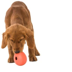 West Paw Rumbl Dog Puzzle Toy 17 West Paw Rumbl Dog Puzzle Toy -Cat And Dog Pet Supply Store WestPawRumblCoralLifestyle