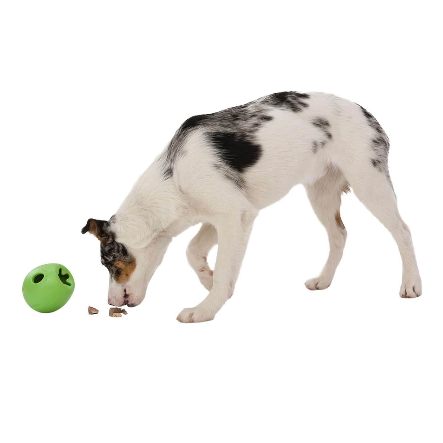 West Paw Rumbl Dog Puzzle Toy 9 West Paw Rumbl Dog Puzzle Toy - Image 9