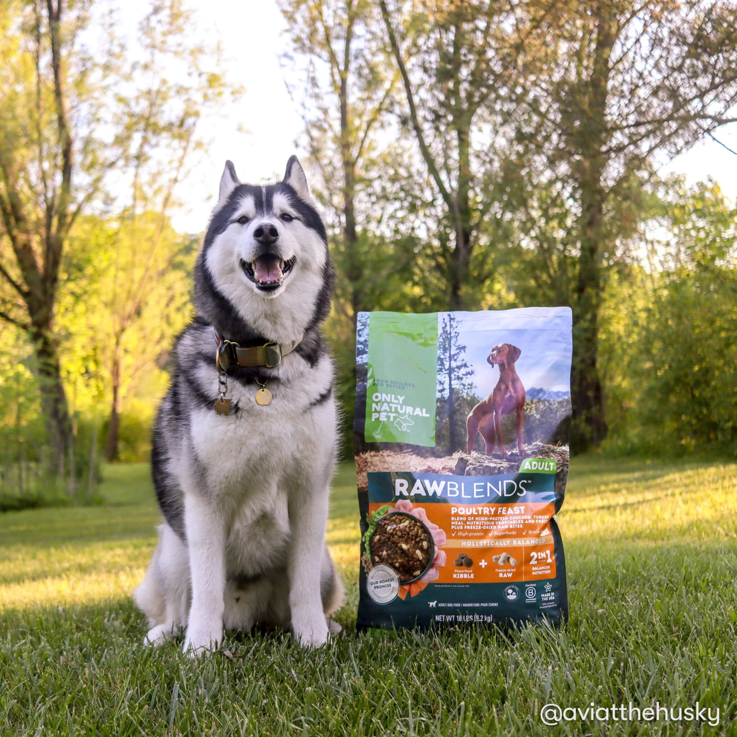 Only Natural Pet Raw Blends Chicken And Poultry Feast Raw Grain Free Dog Food 10 Only Natural Pet Raw Blends Chicken And Poultry Feast Raw Grain Free Dog Food - Image 10